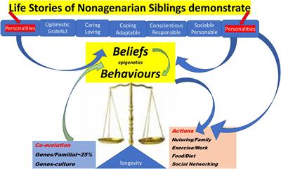 Insights Into Sibling Relationships and Longevity From Genetics of Healthy Ageing Nonagenarians: The Importance of Optimisation, Resilience and Social Networks